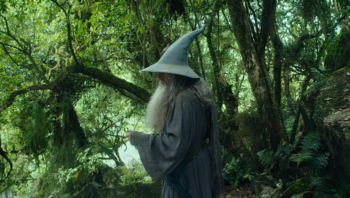 Gandalf in the forest