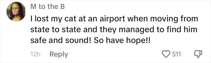 Woman Shares Anguish Over Delta Airlines Losing Her Beloved Pooch In Atlanta Airport Woman Shares Anguish Over Delta Airlines Losing Her Beloved Pooch In Atlanta Airport
