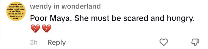 Woman Shares Anguish Over Delta Airlines Losing Her Beloved Pooch In Atlanta Airport Woman Shares Anguish Over Delta Airlines Losing Her Beloved Pooch In Atlanta Airport