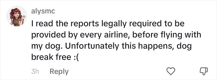 Woman Shares Anguish Over Delta Airlines Losing Her Beloved Pooch In Atlanta Airport Woman Shares Anguish Over Delta Airlines Losing Her Beloved Pooch In Atlanta Airport