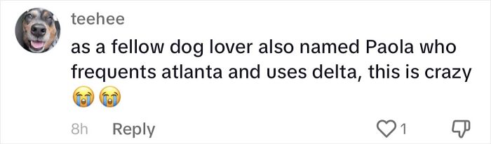 Woman Shares Anguish Over Delta Airlines Losing Her Beloved Pooch In Atlanta Airport Woman Shares Anguish Over Delta Airlines Losing Her Beloved Pooch In Atlanta Airport
