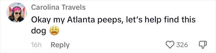 Woman Shares Anguish Over Delta Airlines Losing Her Beloved Pooch In Atlanta Airport Woman Shares Anguish Over Delta Airlines Losing Her Beloved Pooch In Atlanta Airport