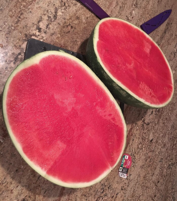 I Hit The Watermelon Jackpot Today