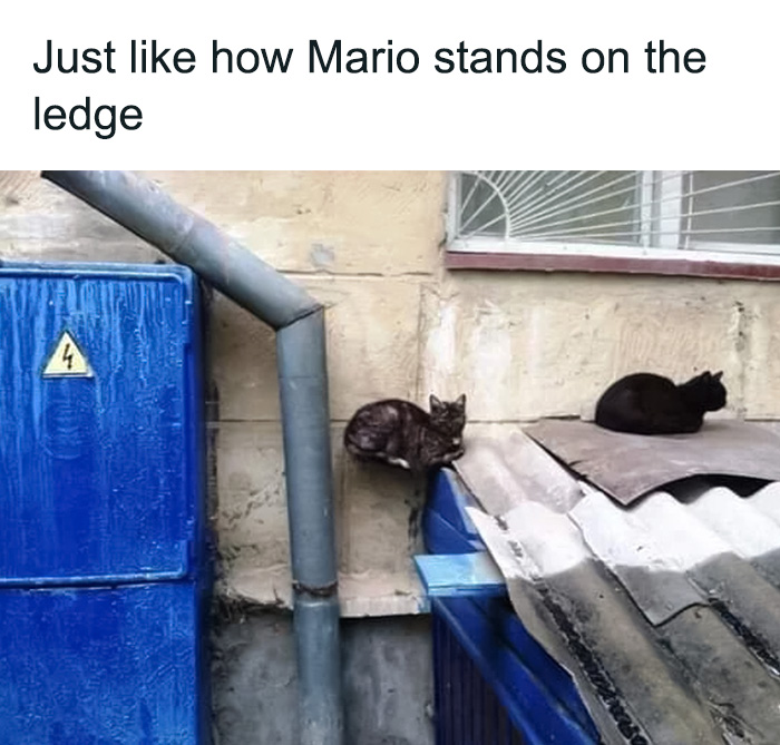 One black cat lies on the roof and another cat lying on the ledge like Mario