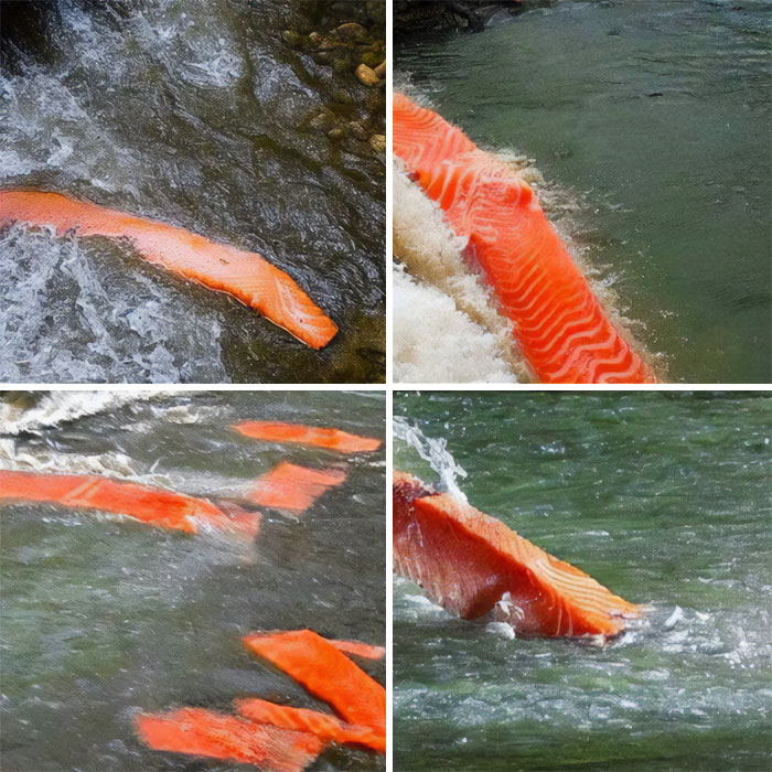 Imagen generada por IA de un "salmón descendiendo por el río"