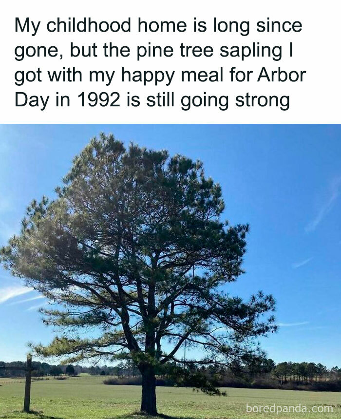 Millennial-Misery-Funny-Memes