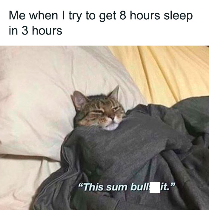 Cat Sleeping in the bed meme