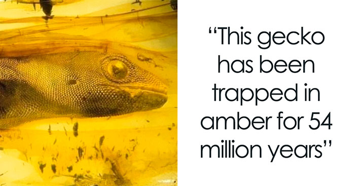 32 Mysterious And Bizarre Posts That Show Just How Weird Our World Really Is