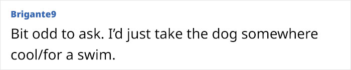 Person Doesn&rsquo;t Want Neighbor Sitting In Their Garden, The Internet Has Thoughts