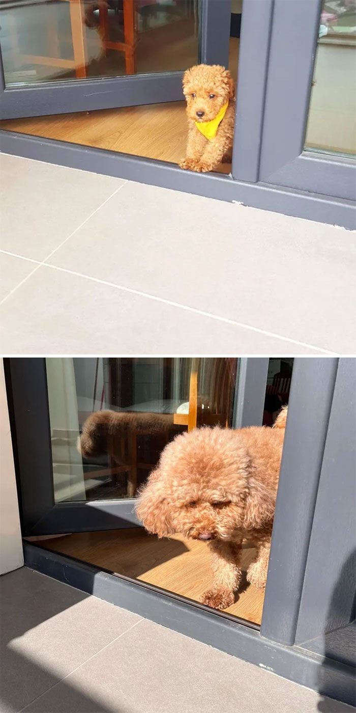 They Grow Up So Fast!