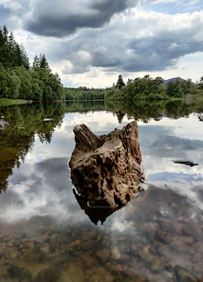 Clouds Over A Log In Loch Knockie, Highland, Scotland