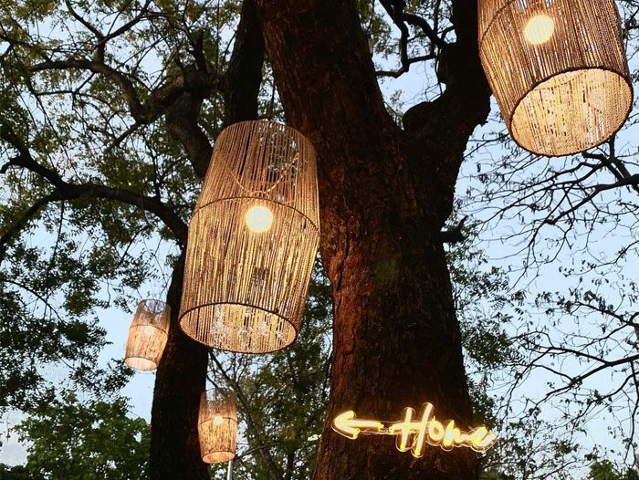 Rattan pendant lights hanging on the trees