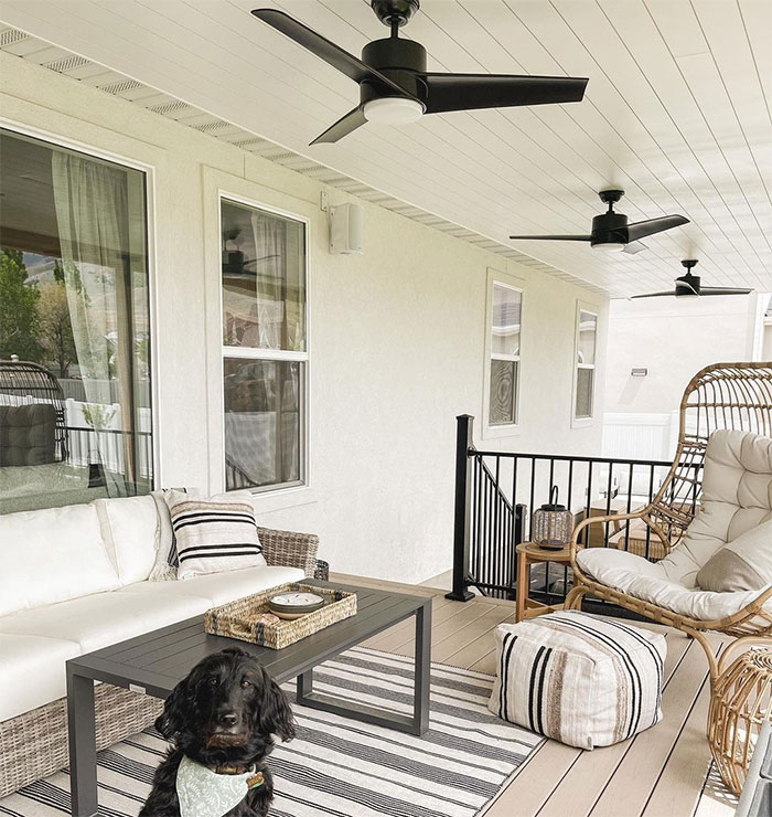 Porch with white furniture stripped rug black fans and black dog