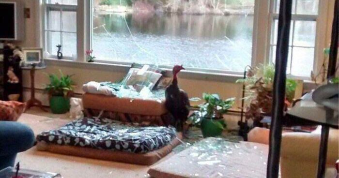 30 People Who Bought Their Dream Home And Regretted It Almost Immediately