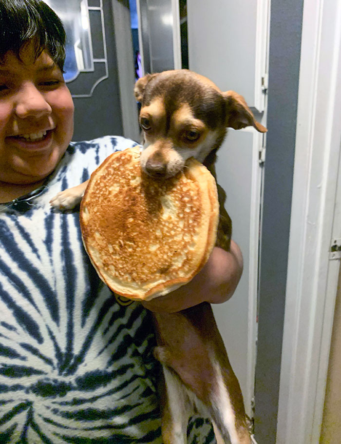 He Stole A Pancake