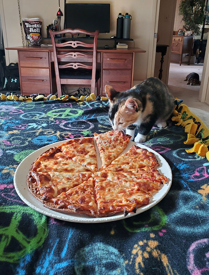 Guess I'm Sharing My Pizza