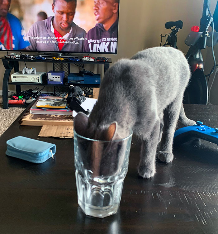 Always Wants My Water