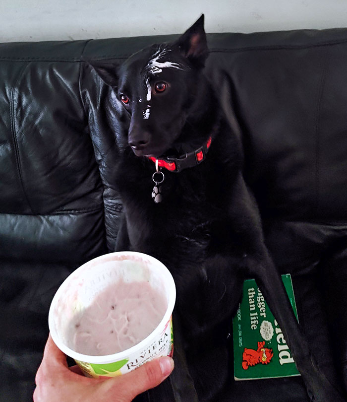 Excuse Me, Could You Help Me Find Who Ate This Yogurt?