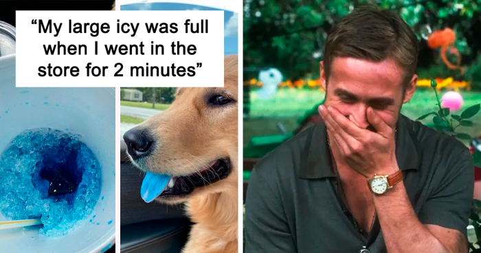 50 Hilarious Times Pets Didn’t Get Away With Stealing Food (New Pics)