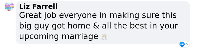 Bachelor Party Takes Unexpected Twist When They Hear Dog Barking In The Mud Bachelor Party Takes Unexpected Twist When They Hear Dog Barking In The Mud