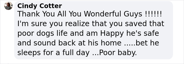 Bachelor Party Takes Unexpected Twist When They Hear Dog Barking In The Mud Bachelor Party Takes Unexpected Twist When They Hear Dog Barking In The Mud