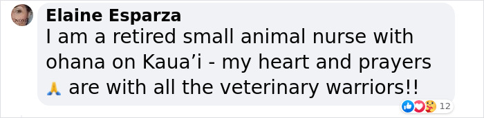 Hope Among Ashes As Maui Community Unites In Helping Wildlife Impacted By Fire Hope Among Ashes As Maui Community Unites In Helping Wildlife Impacted By Fire