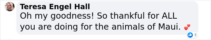 Hope Among Ashes As Maui Community Unites In Helping Wildlife Impacted By Fire Hope Among Ashes As Maui Community Unites In Helping Wildlife Impacted By Fire