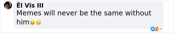 The Internet Is Devastated After 'Doge' Meme Star, Cheems, Passes Away After Undergoing Surgery The Internet Is Devastated After 'Doge' Meme Star, Cheems, Passes Away After Undergoing Surgery