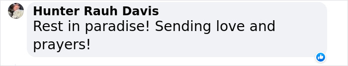 The Internet Is Devastated After 'Doge' Meme Star, Cheems, Passes Away After Undergoing Surgery The Internet Is Devastated After 'Doge' Meme Star, Cheems, Passes Away After Undergoing Surgery