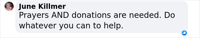 Hope Among Ashes As Maui Community Unites In Helping Wildlife Impacted By Fire Hope Among Ashes As Maui Community Unites In Helping Wildlife Impacted By Fire