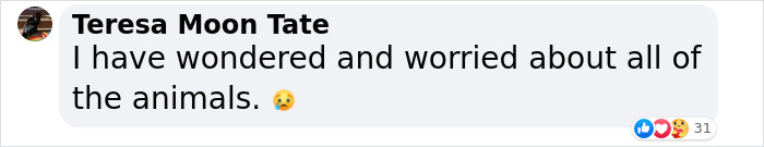 Hope Among Ashes As Maui Community Unites In Helping Wildlife Impacted By Fire Hope Among Ashes As Maui Community Unites In Helping Wildlife Impacted By Fire