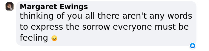 Hope Among Ashes As Maui Community Unites In Helping Wildlife Impacted By Fire Hope Among Ashes As Maui Community Unites In Helping Wildlife Impacted By Fire