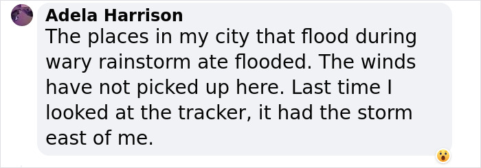 Earthquake And Storm Hit California, People Are Forced To Climb Trees To Escape Floodwaters And Mudslides Earthquake And Storm Hit California, People Are Forced To Climb Trees To Escape Floodwaters And Mudslides