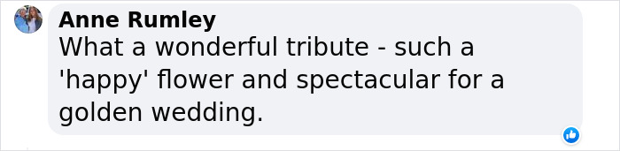 “It Made Me Feel Very Special”: Man Surprises Wife Of 50 Years With A Field Of 1.2M Sunflowers “It Made Me Feel Very Special”: Man Surprises Wife Of 50 Years With A Field Of 1.2M Sunflowers