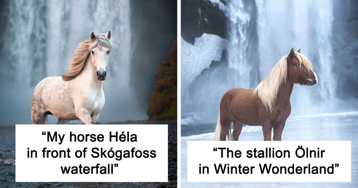 I Took Pictures Of Beautiful Horses In Breathtaking Icelandic Landscapes, And Here Are 30 Of Them