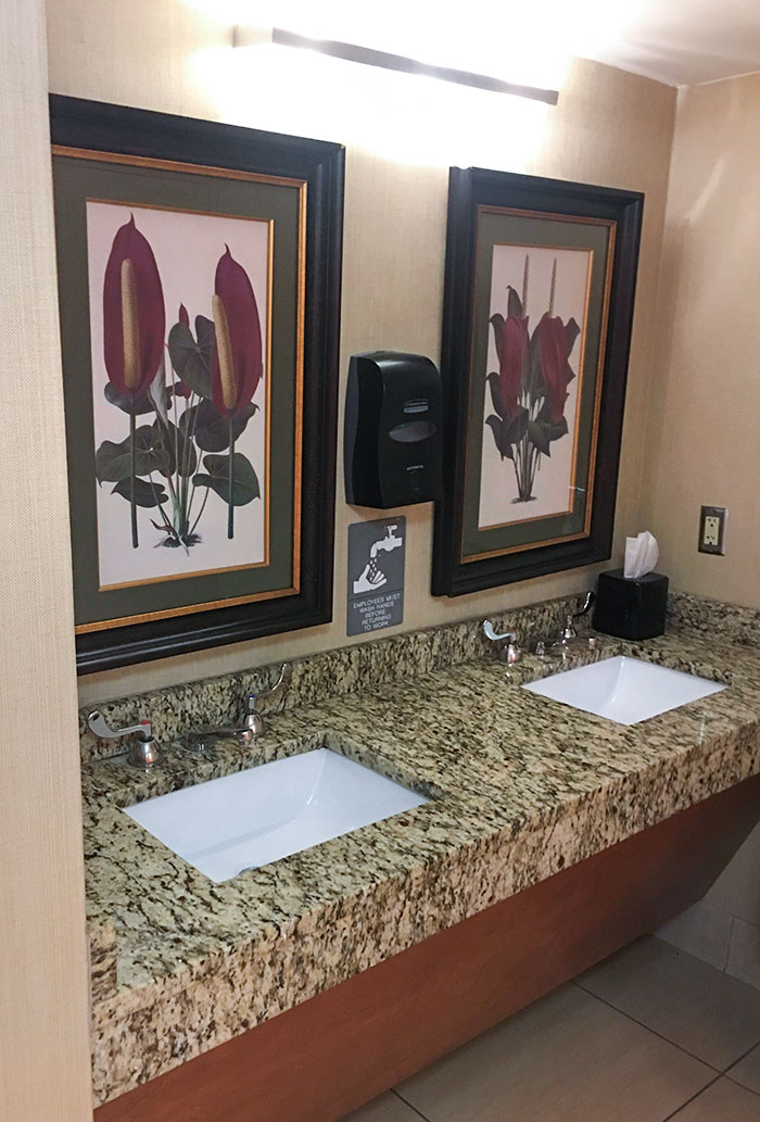 This Hotel Bathroom Has Paintings Of Corn Rather Than Mirrors