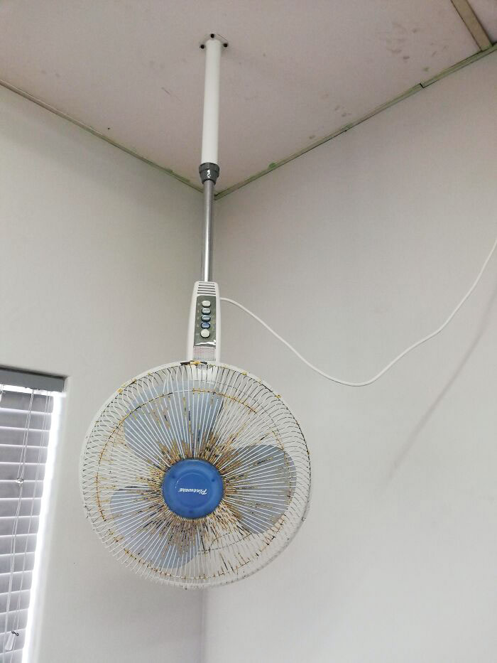 My School Has A "Ceiling Fan" But It's A Regular Fan That They Nailed To The Ceiling