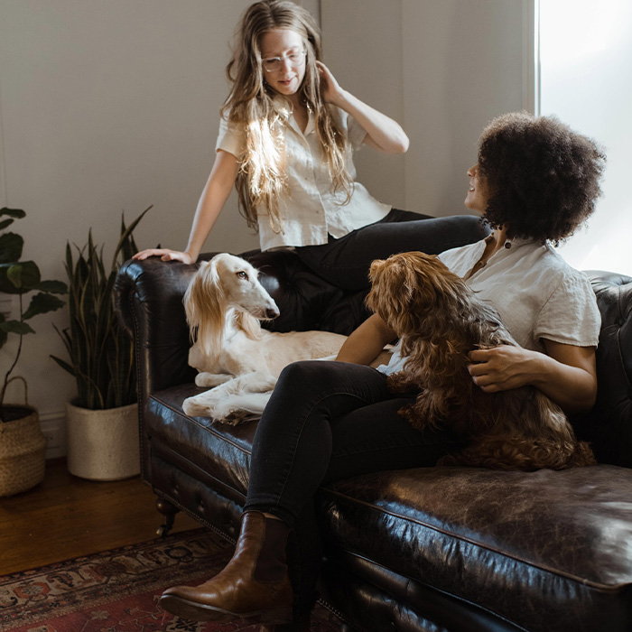 dialogue between two women on the background of listening dogs