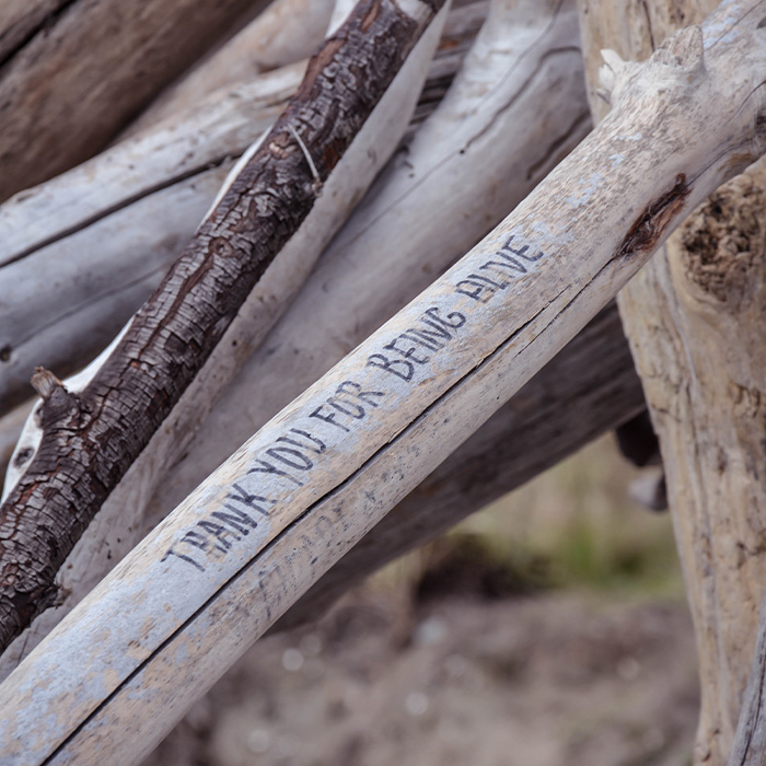 Random Facts That Will Make You Say “Wait, What?”