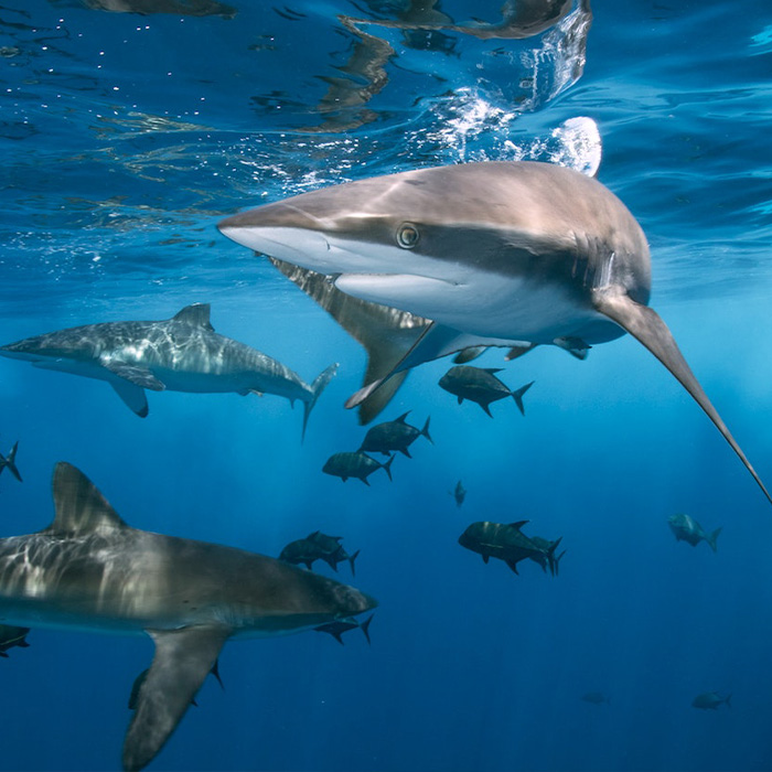 Random Facts That Will Make You Say “Wait, What?”