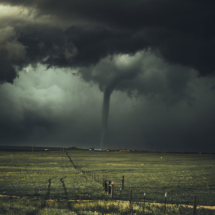 Random Facts That Will Make You Say “Wait, What?”