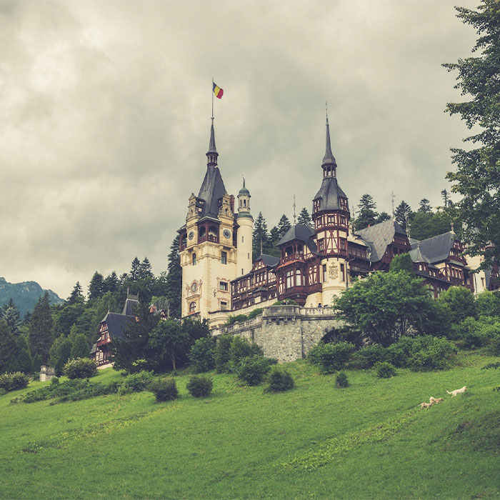 Random Facts That Will Make You Say “Wait, What?”