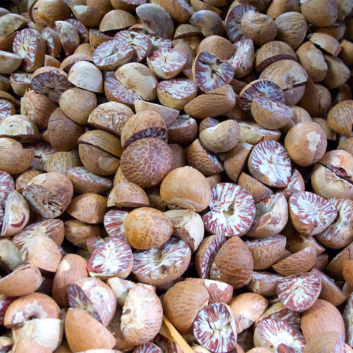 Random Facts That Will Make You Say “Wait, What?”