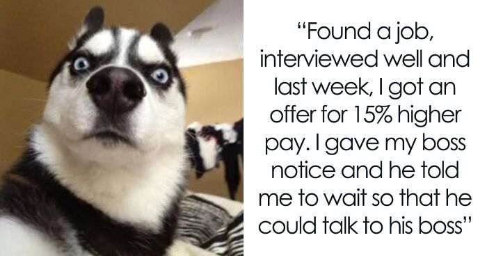 Guy Is Stunned After Being Accused Of Unethical Pay Raise Negotiation For Choosing Counteroffer