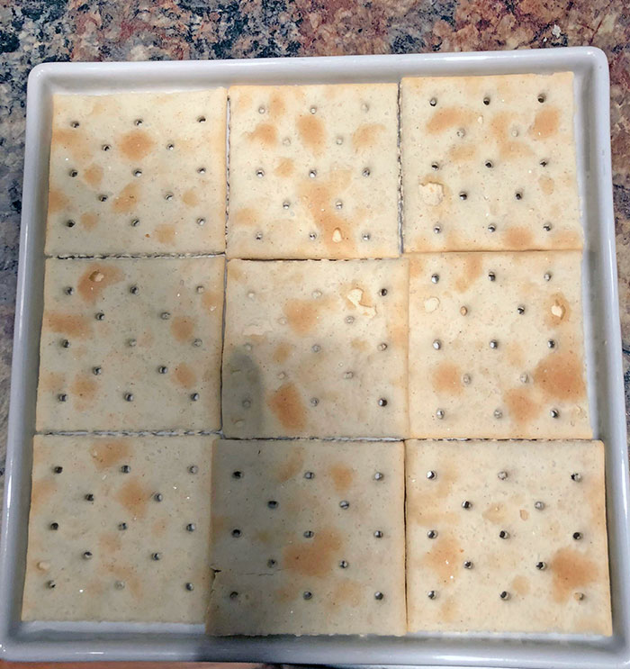 This Plate Perfectly Fits 9 Saltine Crackers