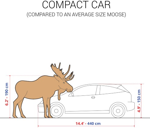 size-of-moose-compared-to-car-64c8ed00ee78b.jpg