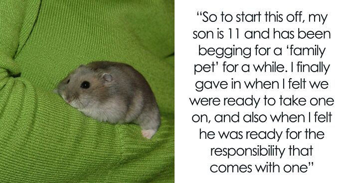 Photo inspiration: Picture Idea: Parent Won T Make Son Change Hamster S Name Which
