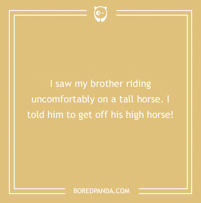 142 Hay-larious Horse Puns to Giddyup with Laughter