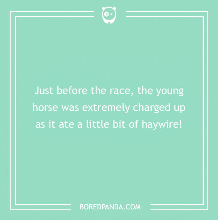 142 Hay-larious Horse Puns to Giddyup with Laughter