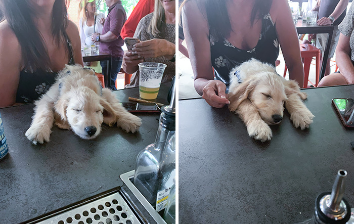 This Georgia Heat Tired Out My Bar Guests